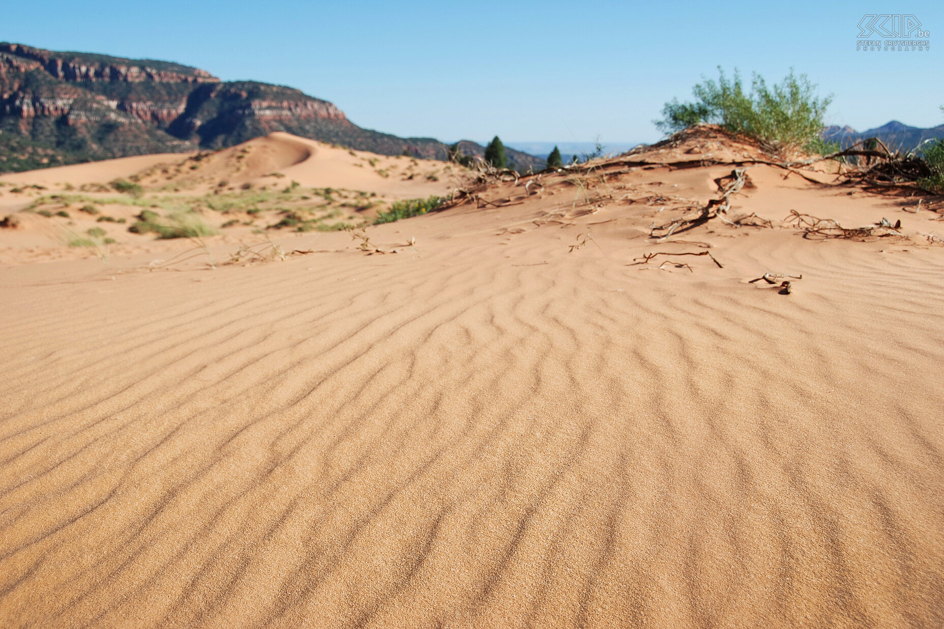 Coral Pink Sand Dunes The Coral Pink Sand Dunes is a very small nature park with high sand dunes on which motorcyclists, sand buggies and quads are allowed. Stefan Cruysberghs